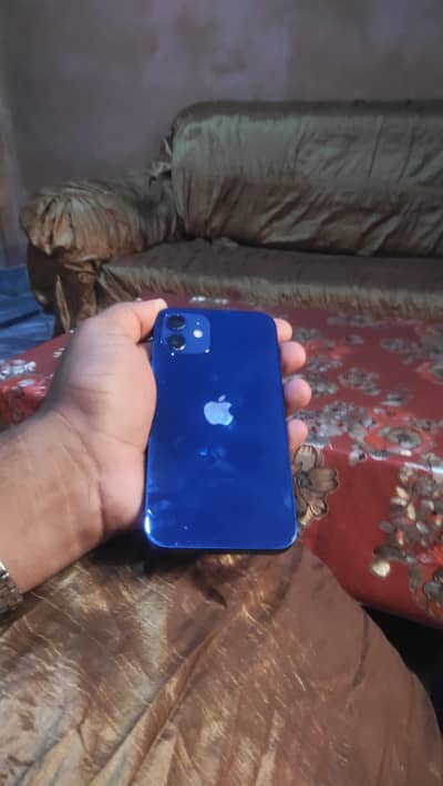 I phone 12