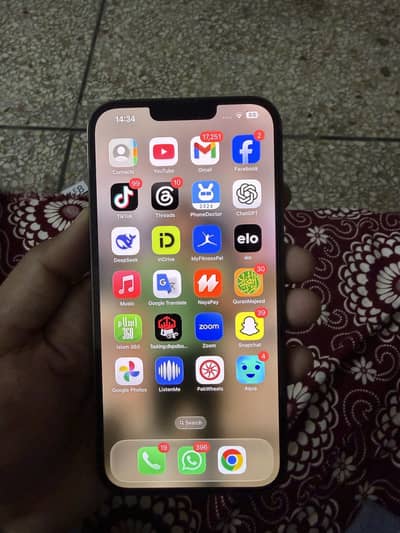 iPhone 13 Pro Max