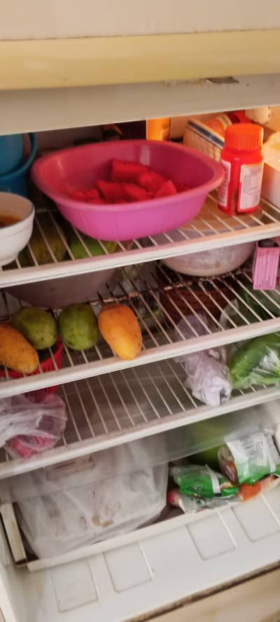 Pel Refrigerator
