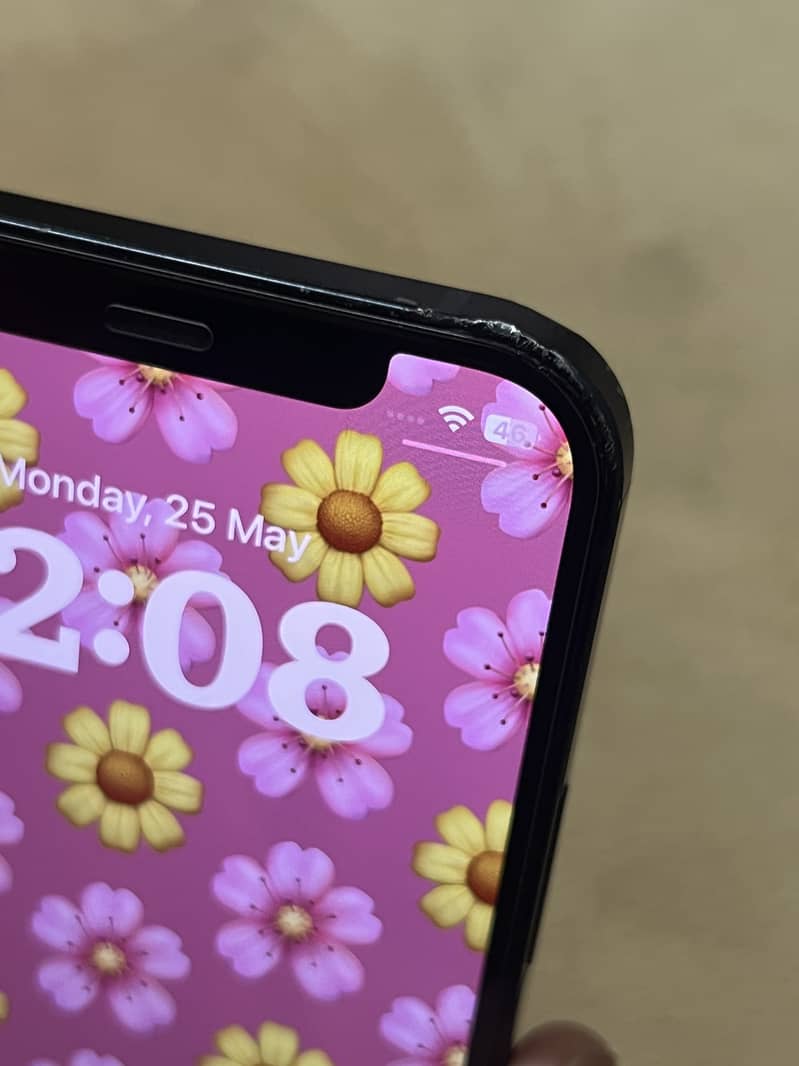 Apple iPhone 12 5