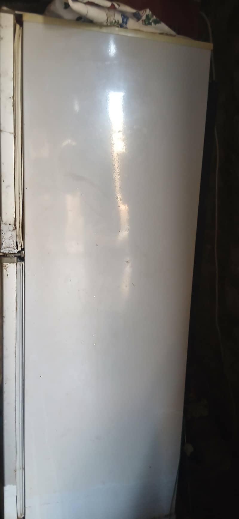 refrigerator 2