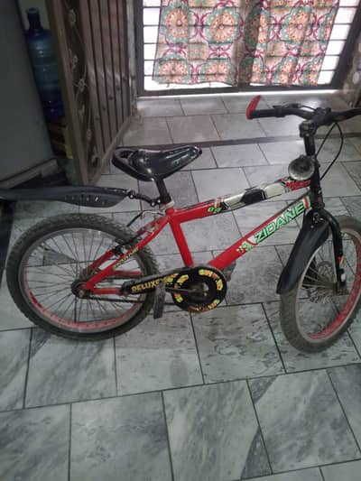 child cycle 20 inch