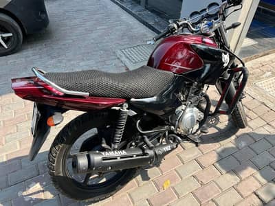 YBRG 2021 PUNJAB REGISTERED FOR SALE