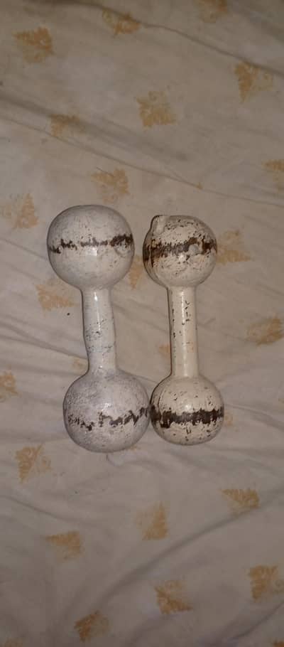 dumbbell gym