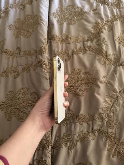 iPhone 12 Pro Max PTA Approved