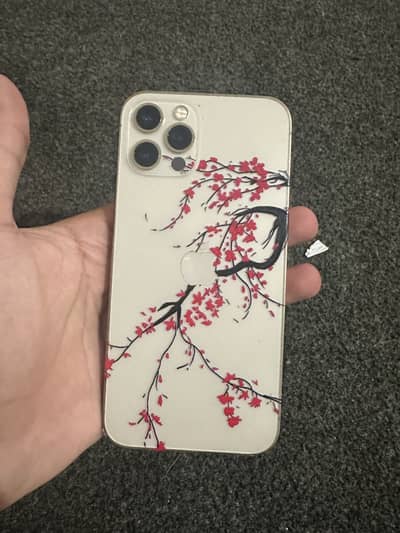 Iphone 12 pro (256gb/ pta)
