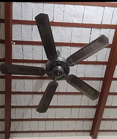 celling fan for sale