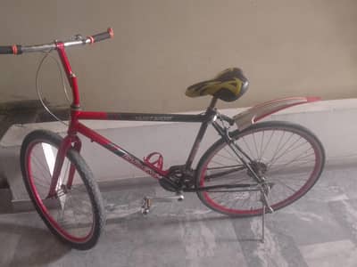 racing cycle