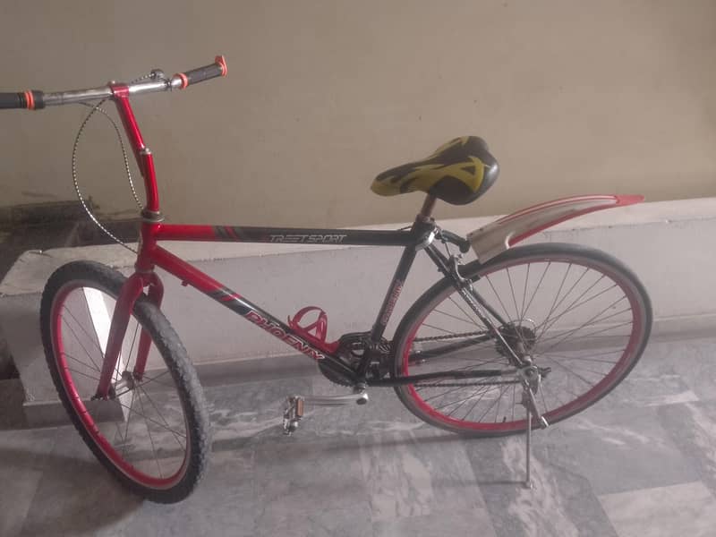 racing cycle 0