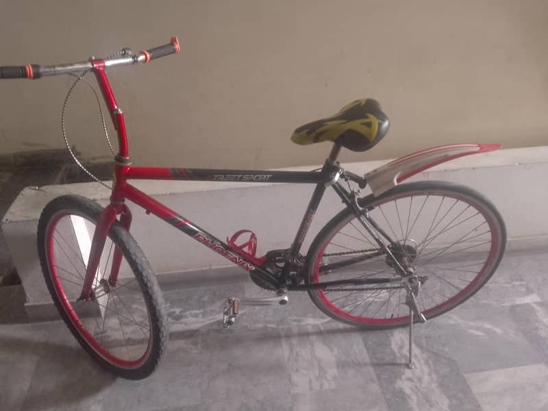racing cycle 1