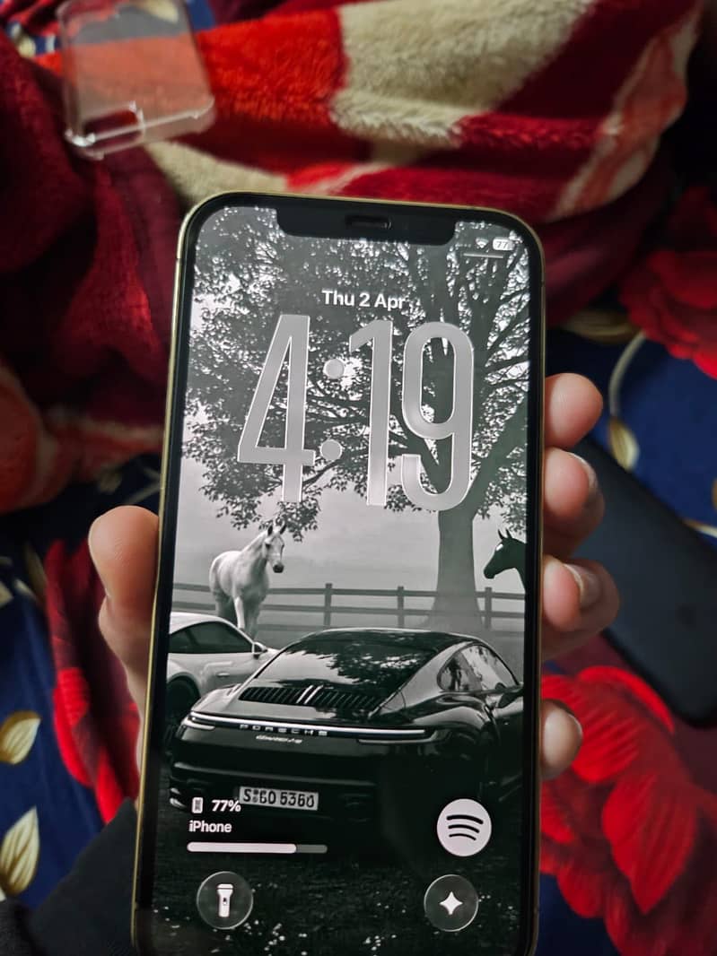 12 pro 1