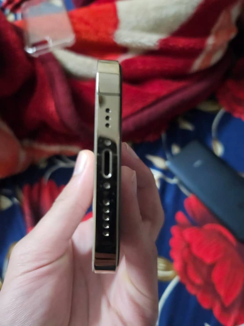 12 pro 2