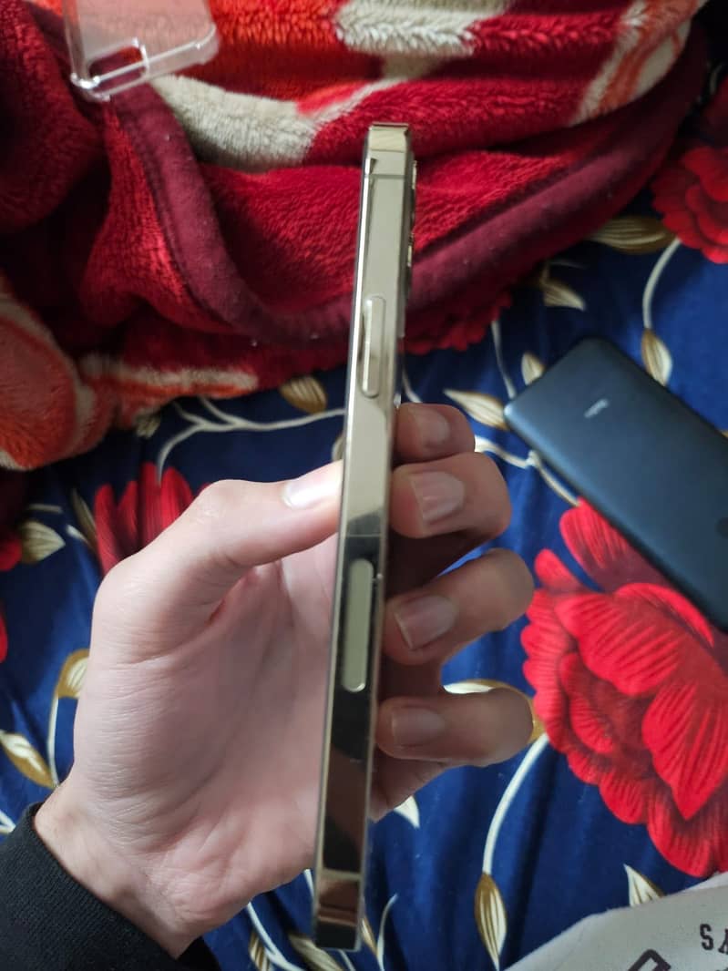 12 pro 4