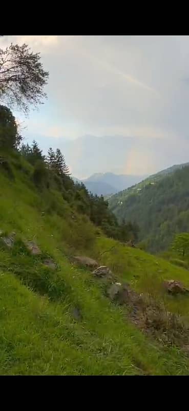 **19 Kanal Residential Land for Farmhouse Thandiani Area**