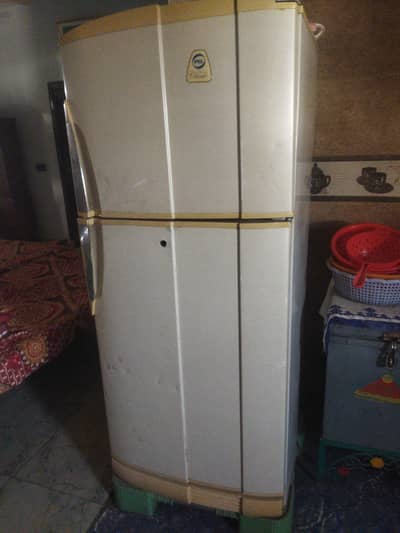 fridge