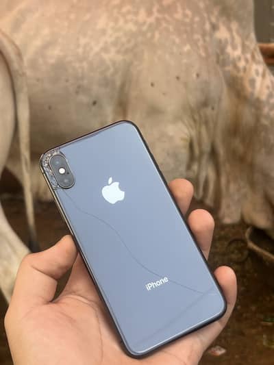 Iphone X