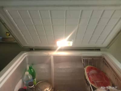 Waves Freezer For Sale Original Compressor