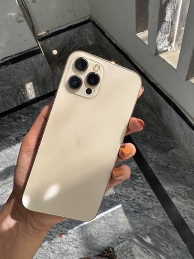 Apple iPhone 12 Pro Max