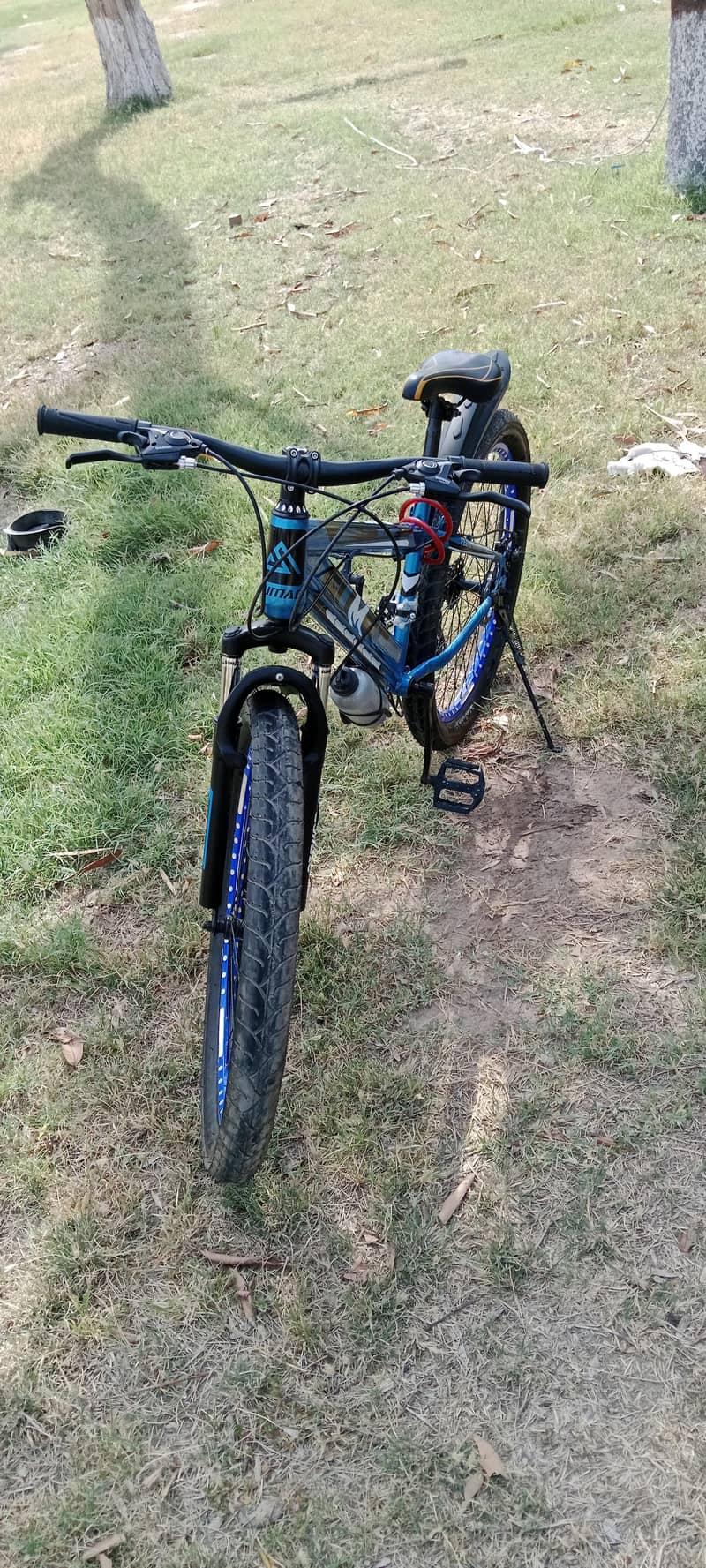 bicycle 7