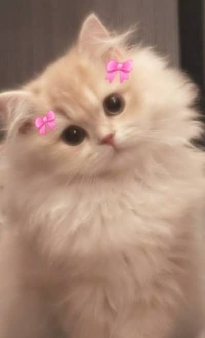 Asim