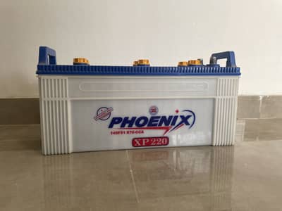 PHOENIX 220 Walt Battery