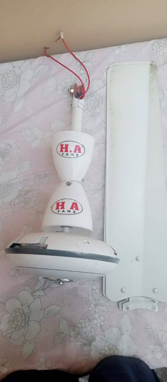 Ceiling fan 3