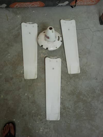 GFC Ceiling Fan for Sale – Excellent Condition