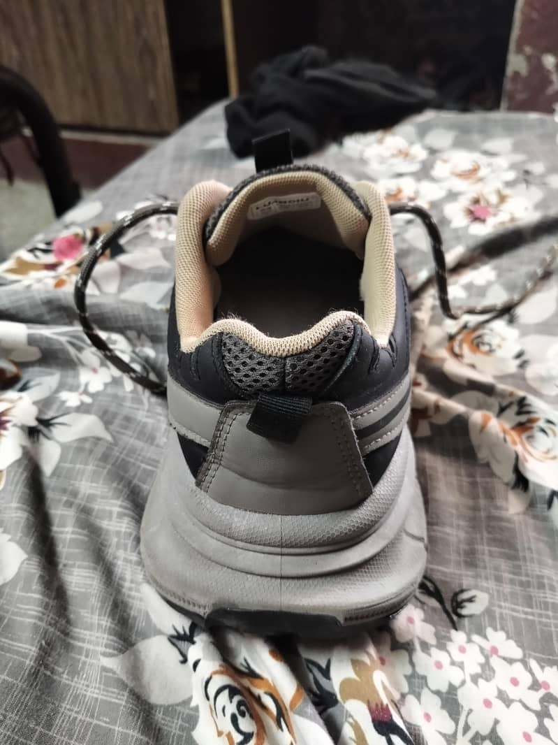 Imported Shoes 1