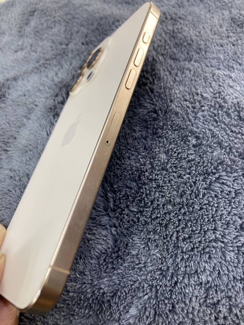 Apple iPhone 16 Pro Max 1