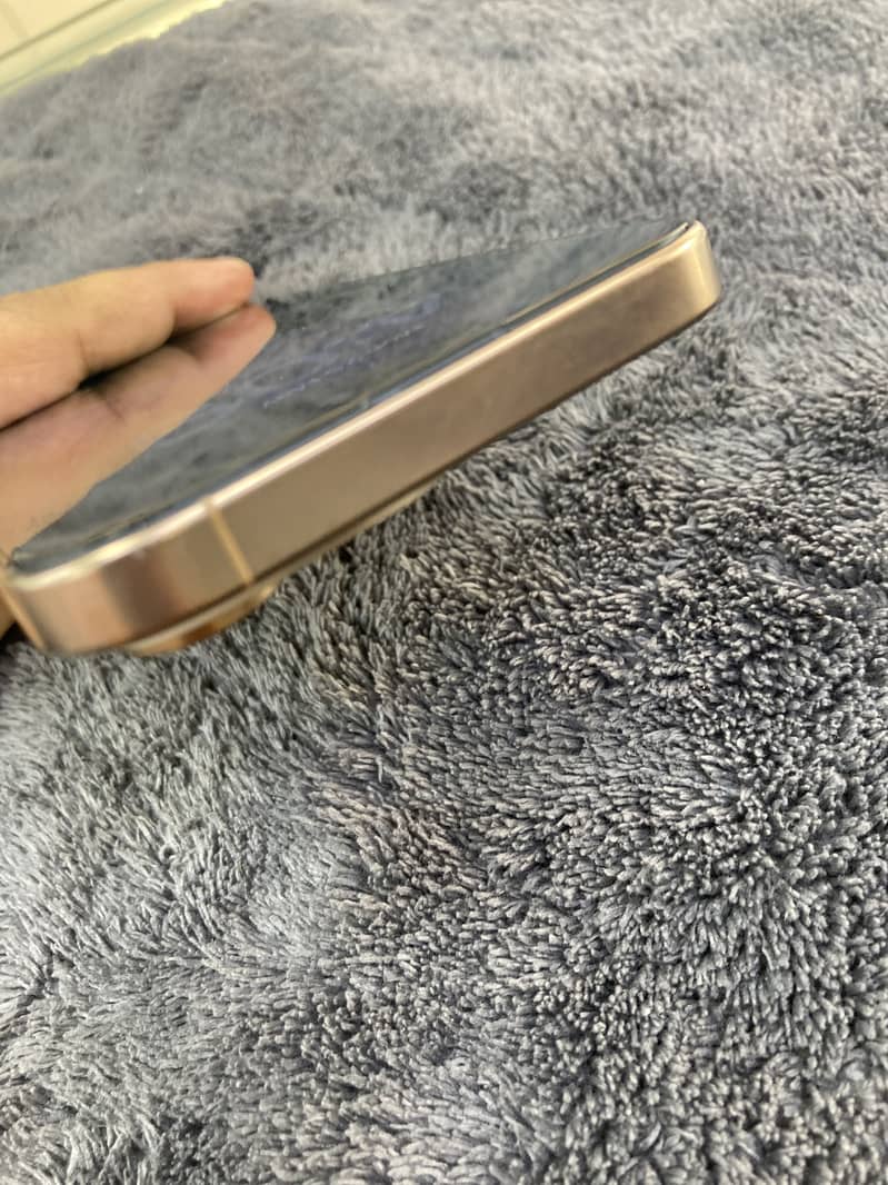 Apple iPhone 16 Pro Max 3