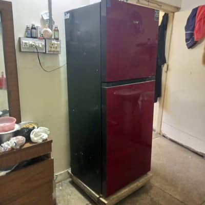 Haier 12 Cubic Refrigerator – 7 Years Warranty