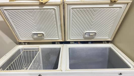 2 Door Deep Freezer