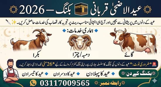 Qurbani Qusai whatapp 0 3 1 1 7 0 0 9565