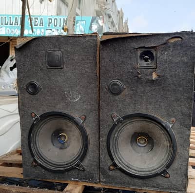 speaker 12 inch