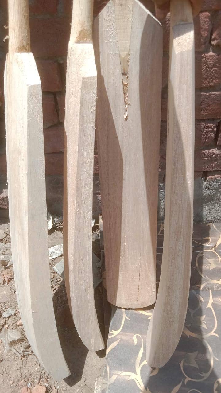 cricket bat 0
