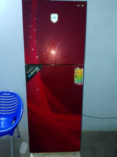 fridge and freezer