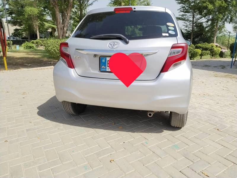vitz spider shape 1
