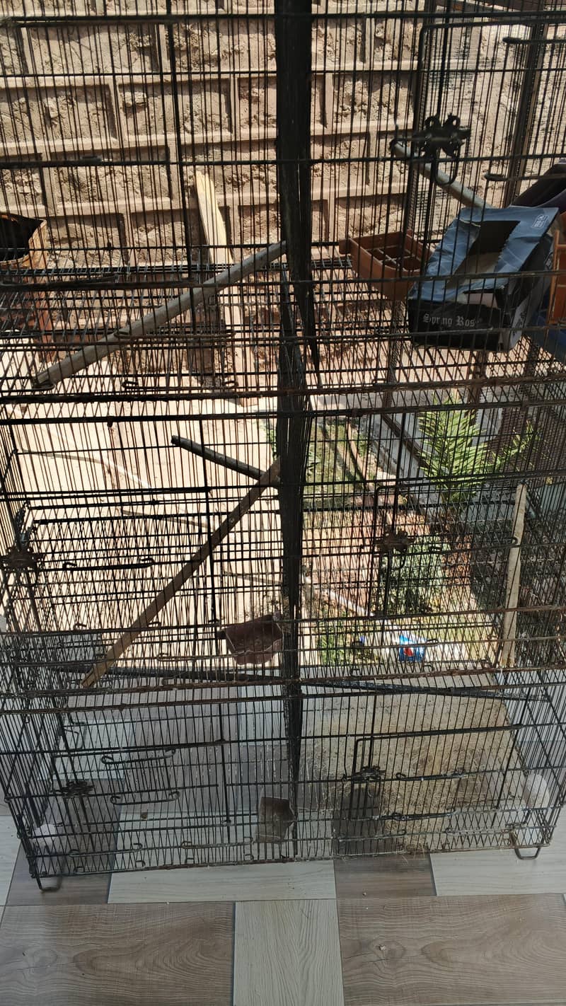 8 portion cage 1