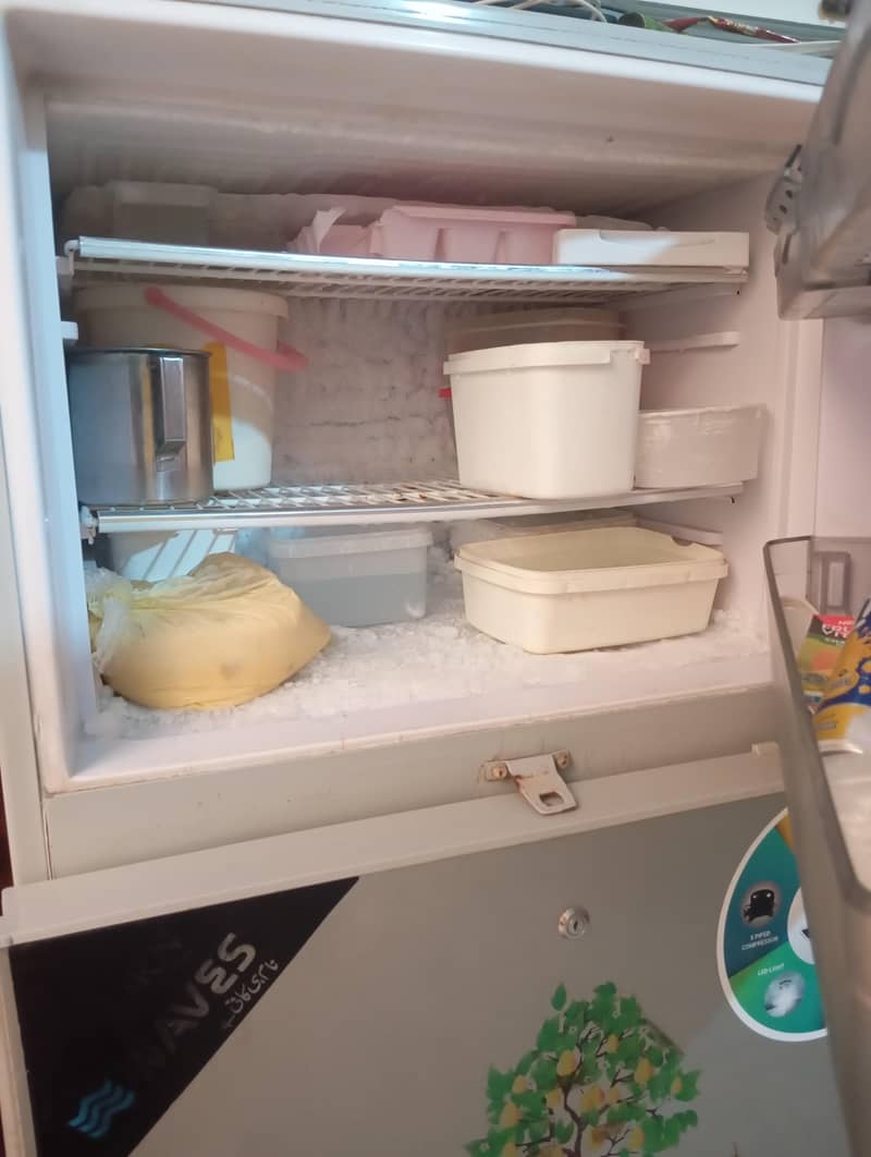waves refrigerator 1