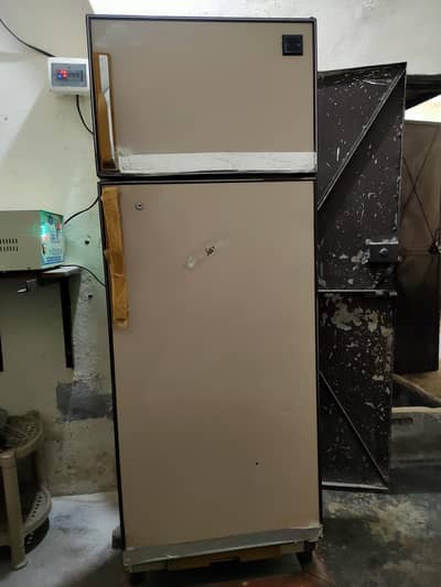 Frige