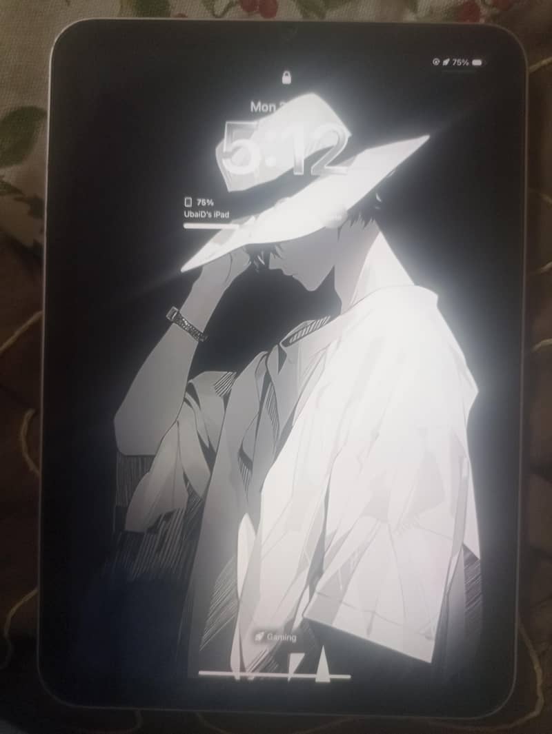 iPAD Mini 6 0