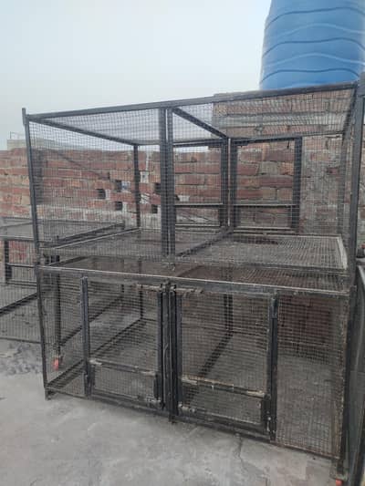 Iron Cage