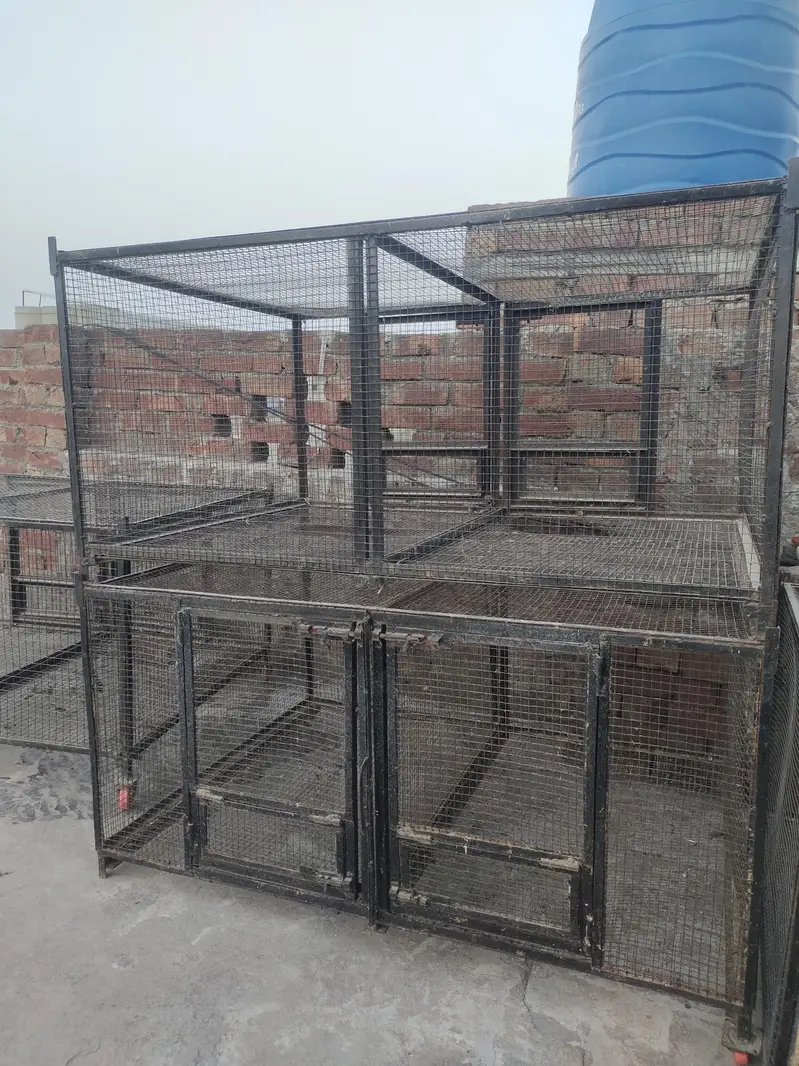 Iron Cage, incubator motor 8ncubatir Controller — photo 2