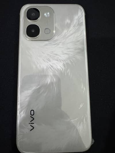 VIVO Y31D 8+8 256