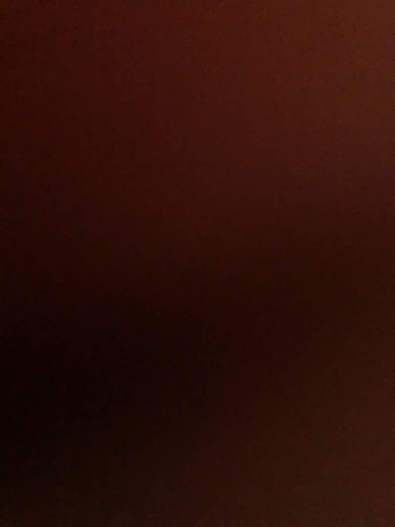Apple iPhone 8 Plus 0