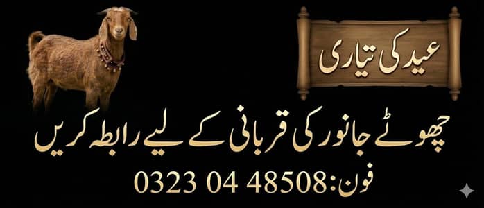 qasaab service