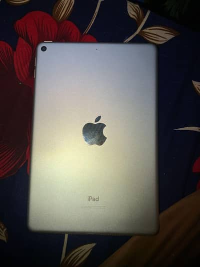 i pad mini 5th generation