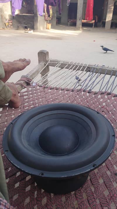 12 inch subwoofer big weight