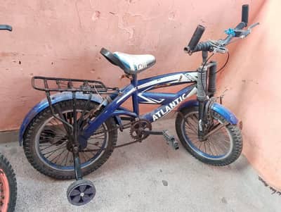 2 cycle