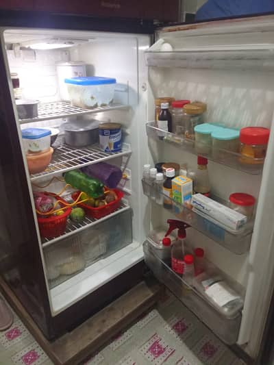 singer double door refrigerator for sale in mint condition